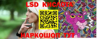 прущие крисы Будённовск