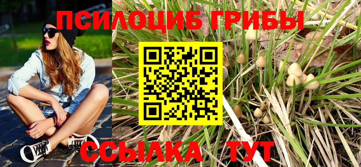 Галлюциногенные грибы Cubensis Коряжма