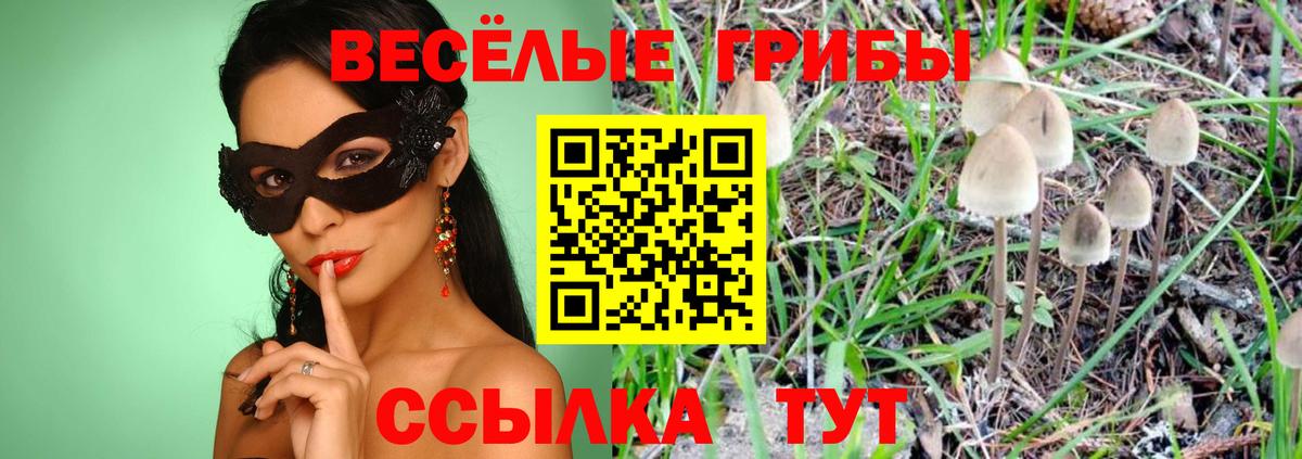 Коряжма  Галлюциногенные грибы прущие грибы  Вход с VPN 